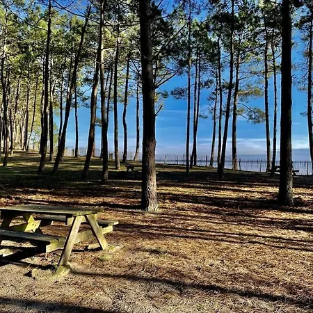 Chuck Location Appartamento Hourtin