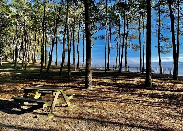 Chuck Location Lägenhet Hourtin